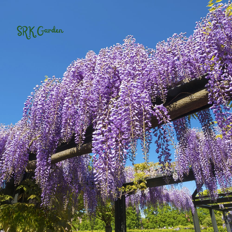 1_7be7e97a-bb59-4505-8f8d-ce9e0a6916c7.png